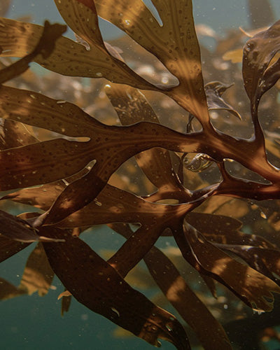 Additional Post Photo