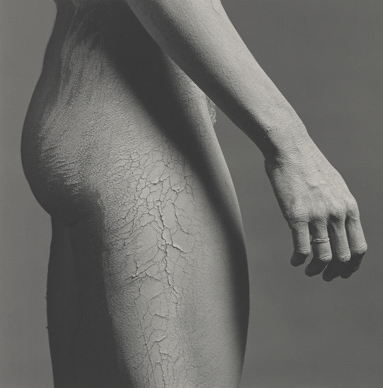 Mapplethorpe Photography: Side profile of a person with cracked bare skin on a gray background