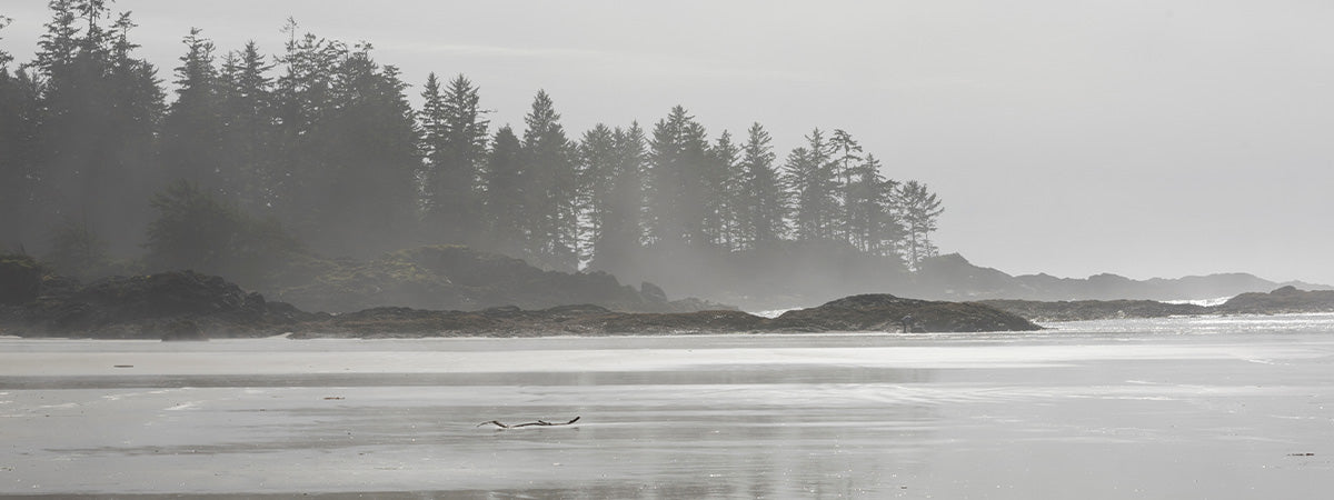 Black and white landscape of a forested island with a calm water body in the foreground.